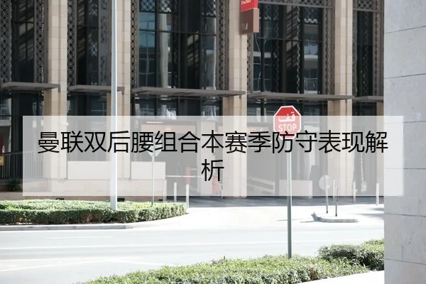 曼联双后腰组合本赛季防守表现解析 | Yion